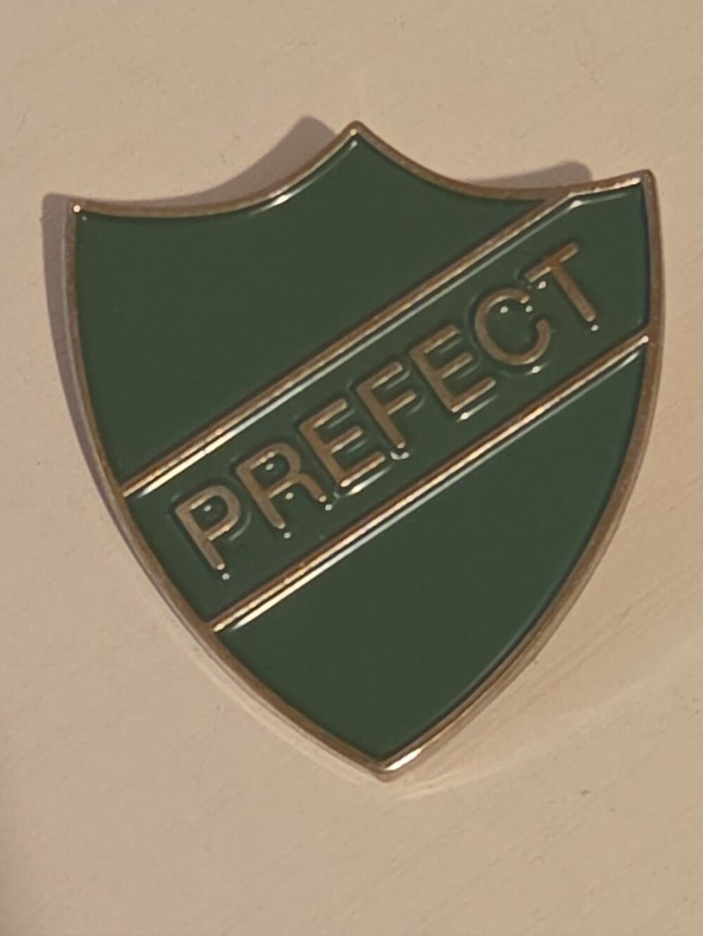 Slytherin Prefect Harry Potter Pin